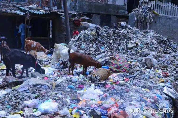 印度首都德里城内共有120个贫民窟被戏称垃圾场城市