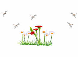 275_200gif 动态图 动图