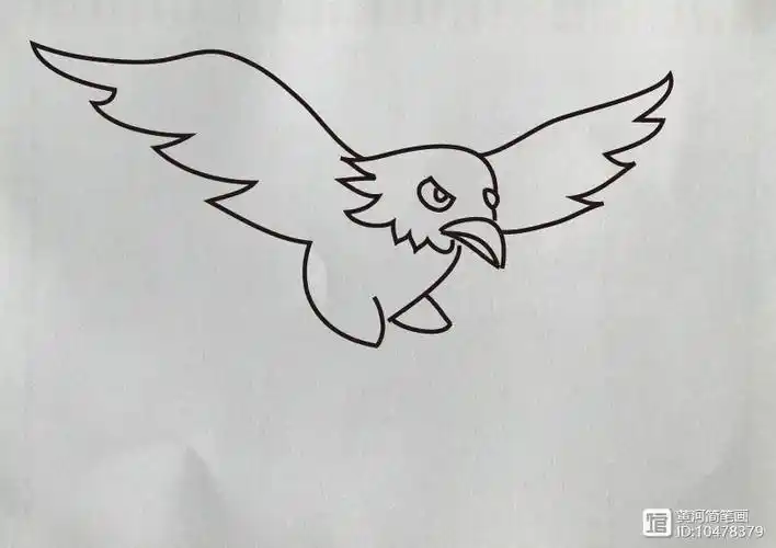 一步一步的画老鹰儿童简笔画的视频