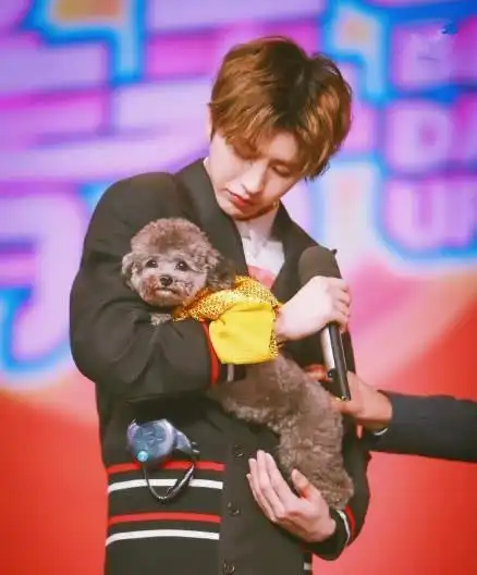 ninepercent与萌宠同框,蔡徐坤一脸宠溺,他抱宠物好像抱小孩!