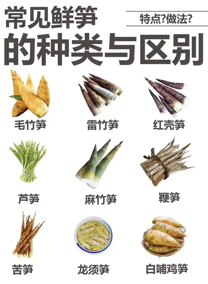 常见笋类的种类与区别.bgm—flower shower # - 抖音
