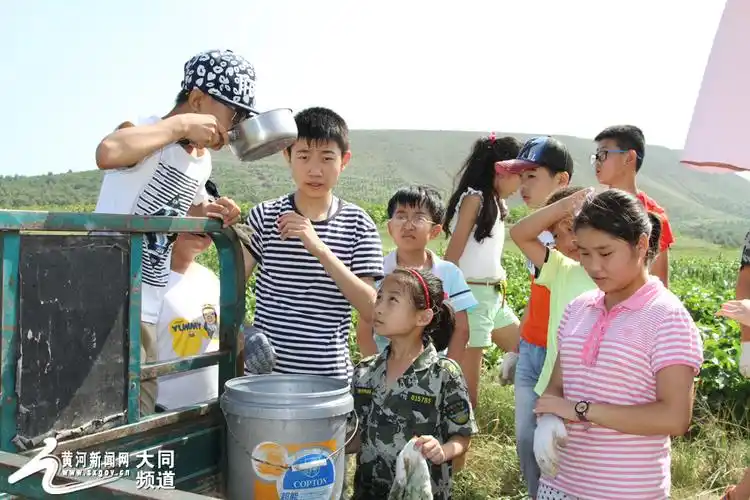 城里孩子体验农家生活