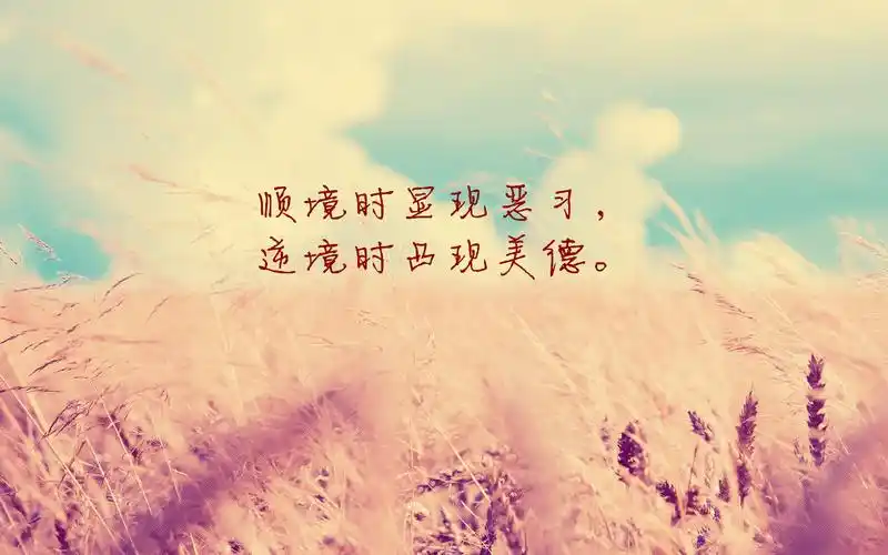 最经典的语录经典语录3