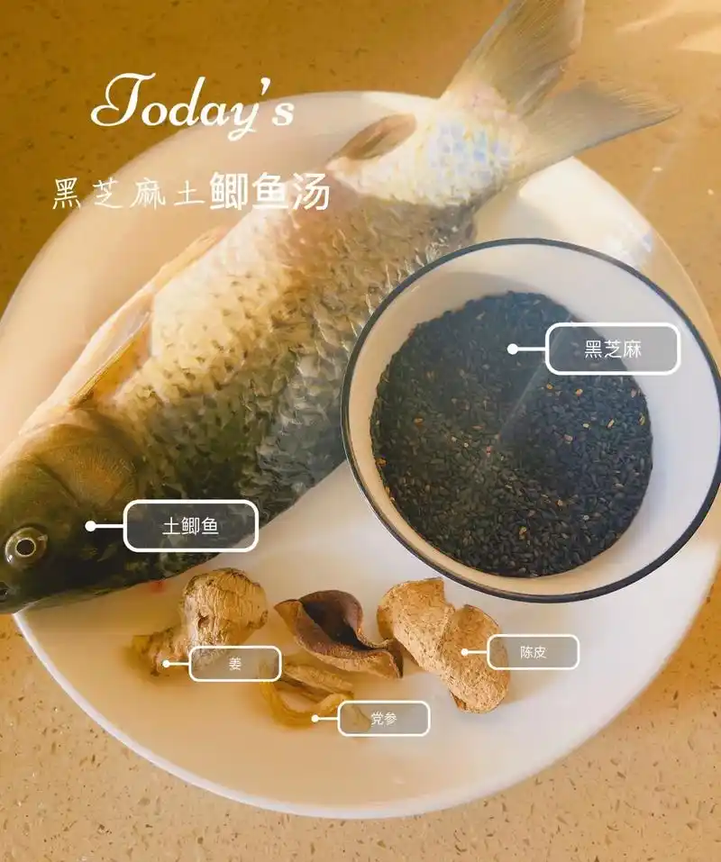 孕妈最该喝的汤黑芝麻土鲫汤