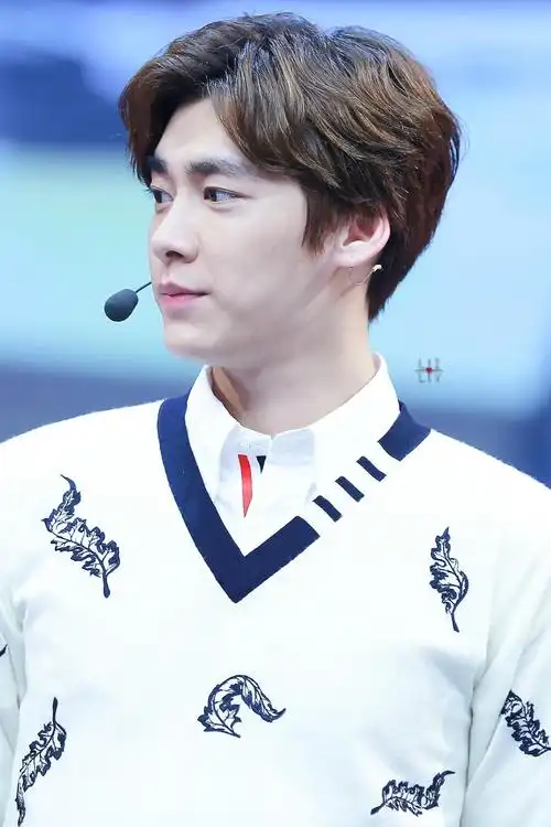 李易峰抿嘴的侧脸萌表情