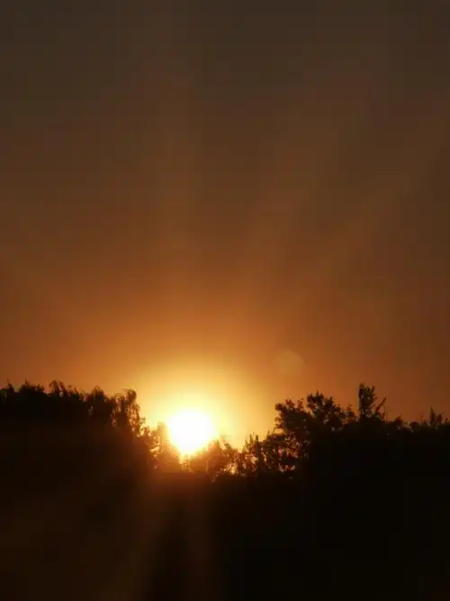 夜间休养精神足,阳光明媚气象新.