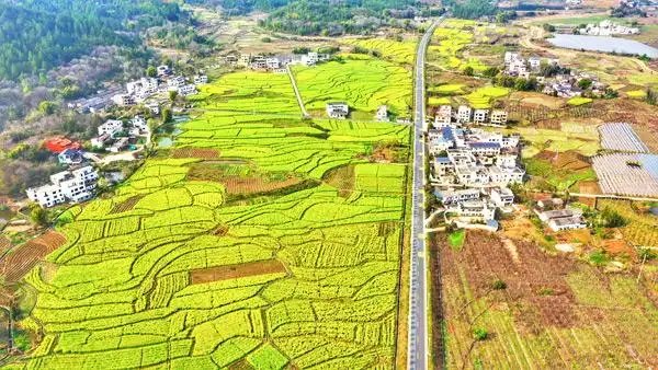 江西全南:美丽乡村入画来