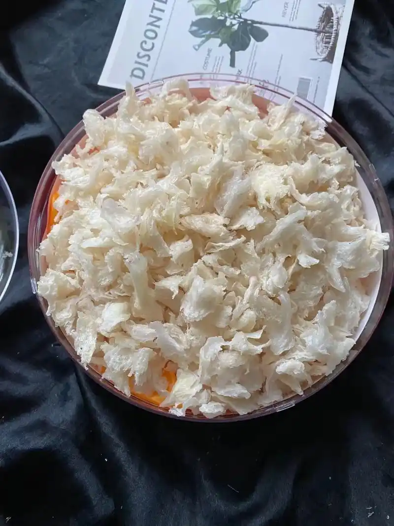 泰国燕窝厂家直销