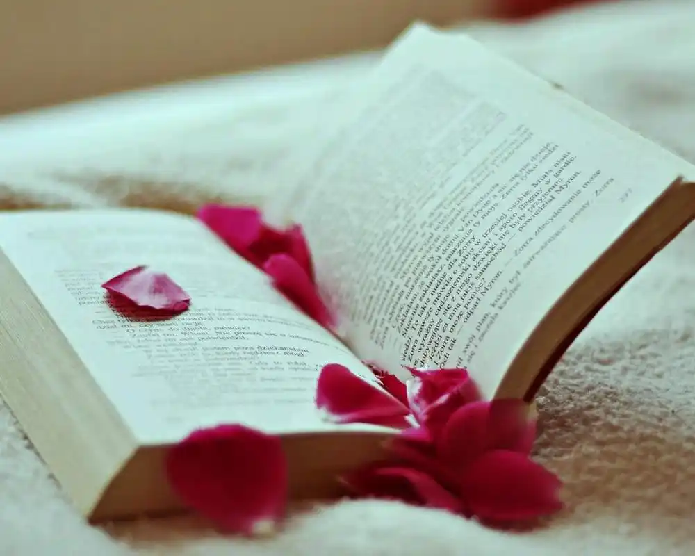 书本和花卉唯美意境图片桌面壁纸