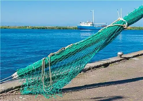 渔网
