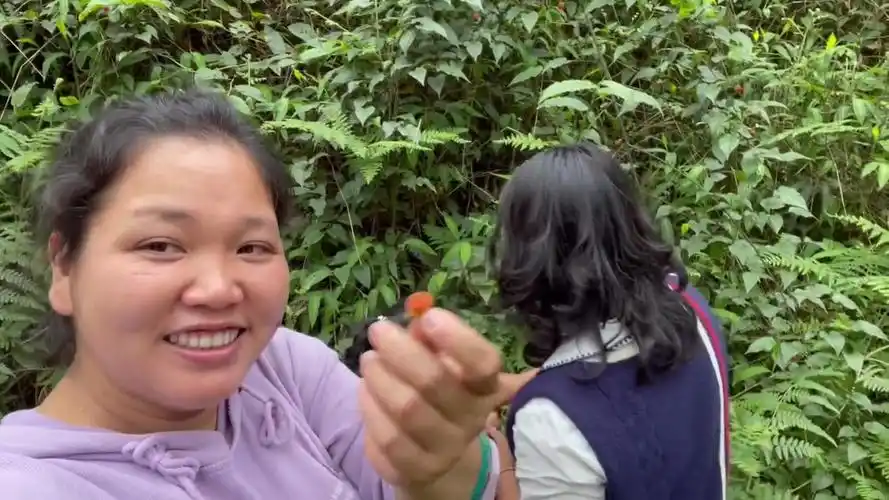 农村小英子,带娘家人上山三月泡小姨说有二十年没吃过了