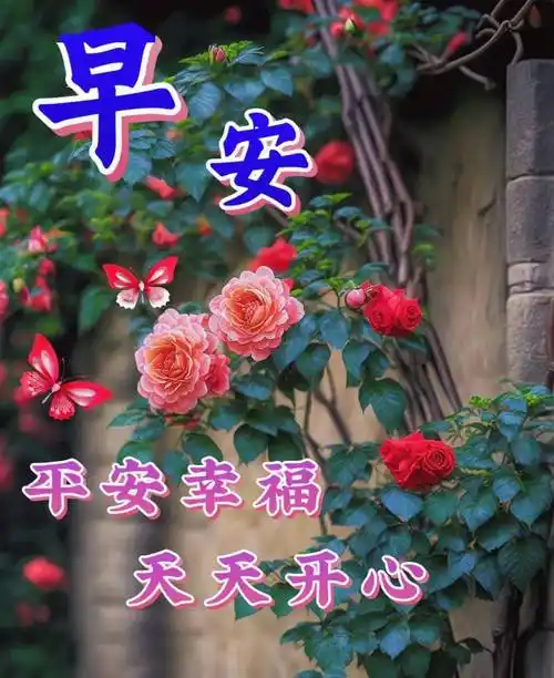 今日最新早上好表情图片大全,珍惜友谊,健康同行_祝福_阳光_心情