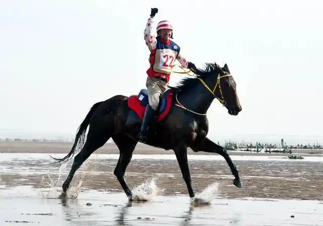 赛马策马扬鞭海滩竞速