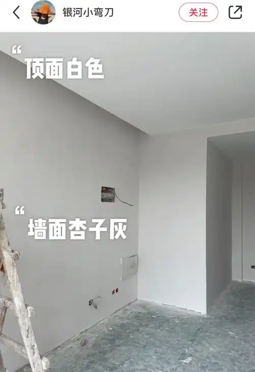 马友友"薇薇砣"最近种草了立邦杏子灰,看图真是没一个翻车的.