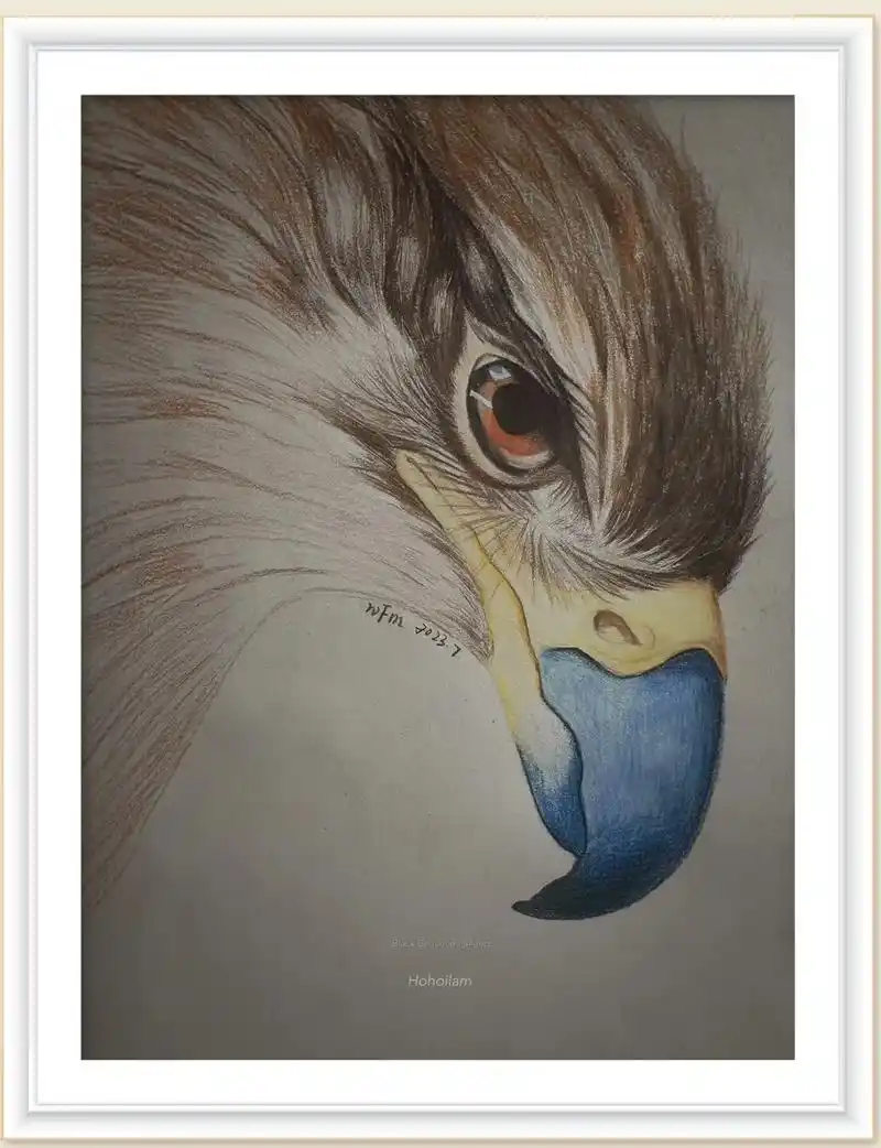 俯瞰的雄鹰#日常瞎画 #彩铅手绘 - 抖音