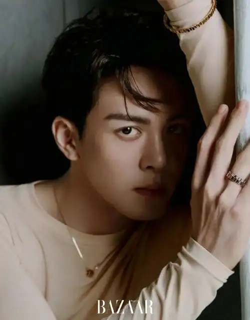 曾舜晞这组时尚芭莎的封面不错啊!张力十足!