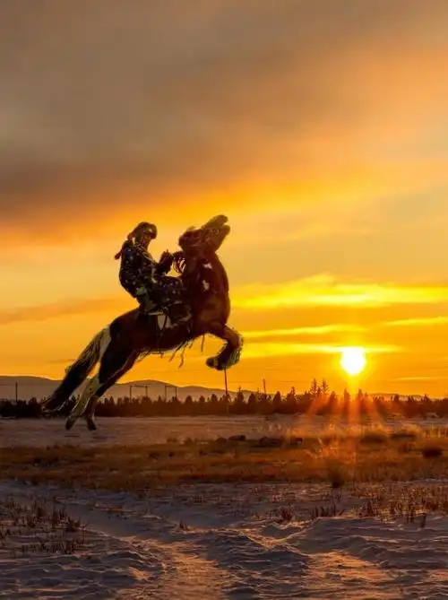 锡林郭勒冬日骏马奔腾