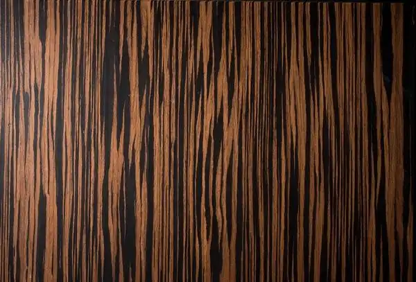 条纹乌木——苏拉威西乌木