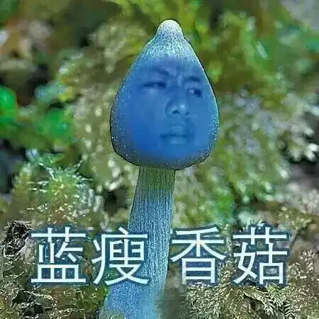 小香菇是什么梗