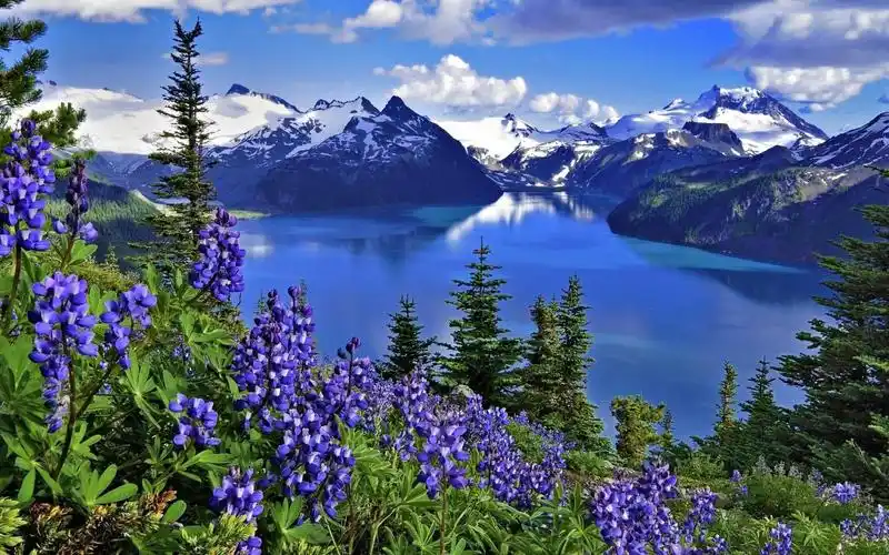 宽屏:自然高清桌面壁纸美女高清:全屏