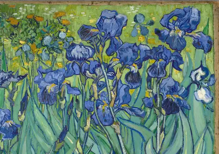 鸢尾花irises梵高vincentvangogh油画作品欣赏