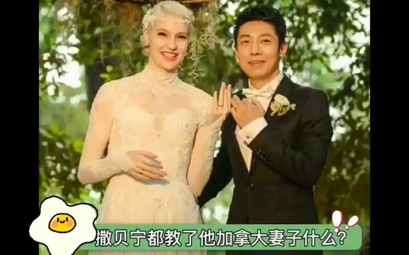 撒贝宁保送北大秘闻,他妻子知道吗?#娱乐秘密武器