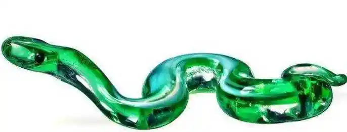 玻璃蛇长什么样(全身透明),世界上最脆弱的蛇
