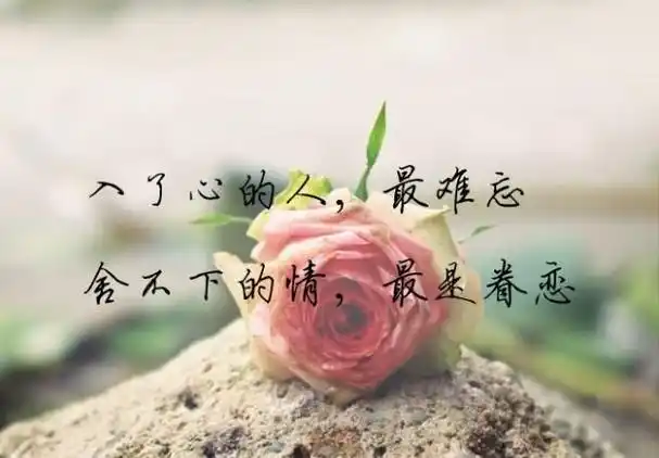 深爱一个人放不下惦记一生