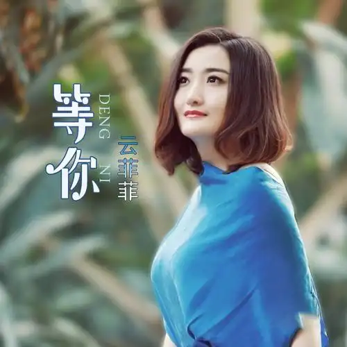 等你_云菲菲_高音质在线试听_等你歌词|歌曲下载_酷狗音乐