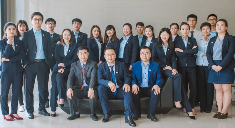 青岛云智管理咨询有限公司员工上传的云智咨询团队合影照片