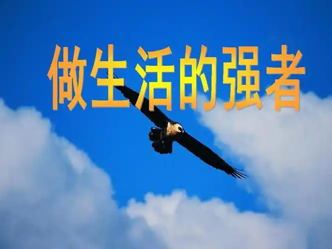 粤教版品德与社会四年级上册《做生活的强者》课件ppt