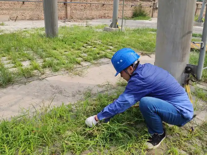 战高温 斗酷暑 争三创 继电保护班变电站除草