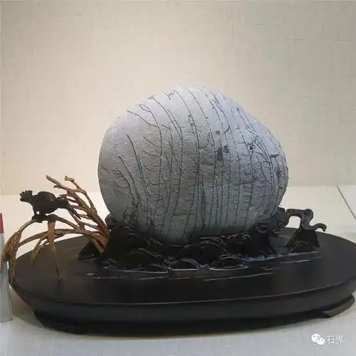 石家庄石展 | 精品展金奖权威发布