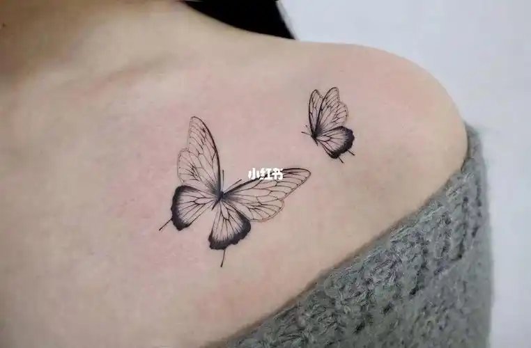 0303女生锁骨纹身图案分享,精致的蝴蝶纹身图案#合肥纹身  #纹身