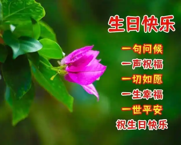 1,一句问候,一声祝福,一切如愿,一生幸福,一世平安.祝生日快乐!