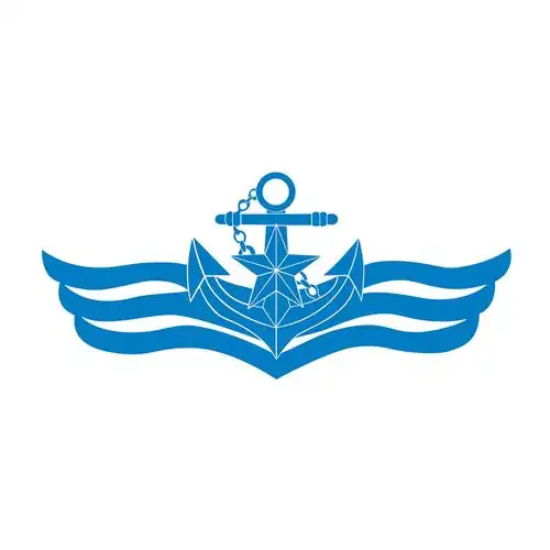 汽车反光贴纸防雨雨水车身个性军事标识胸徽汽车装饰贴