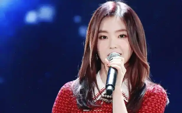 【red velvet irene】170114 金唱片 饭拍(舞台 台下)【防弹少年团】