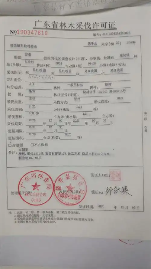 广东省林木采伐许可证(洪文平1份;浮滨镇柘林村委会3份;三饶镇南联