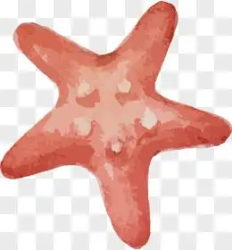 水彩海星