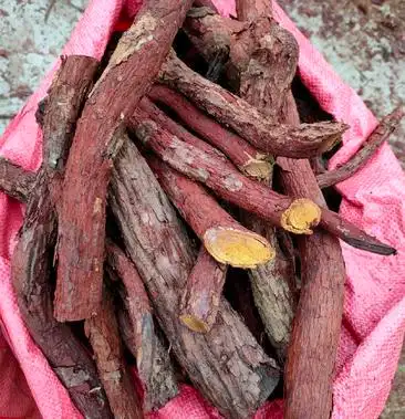 野生中药材红穿破石根状元红血风根鸡爪黄根部条子干