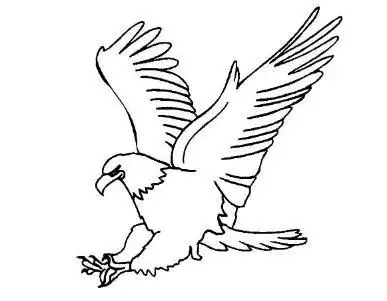 老鹰简笔画步骤画法