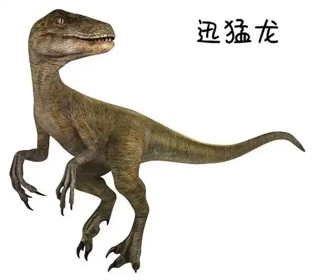 这是我花一个晚上的时间整理出来的《侏罗纪世界3》上所有的恐龙 - 抖