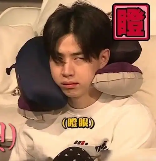 刘耀文刚拔完智齿就要坐飞机,还要肿着脸录唱跳节目,粉丝心碎了