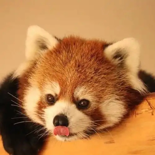 一人一剑,我镇守孤城七十年最新章节免费阅读_目录更