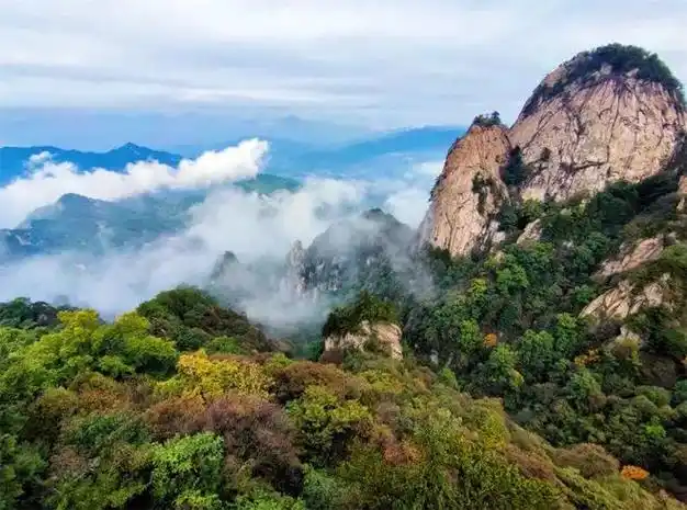 5月的木札岭,各种花儿陆续绽放,它们或温柔,或炽烈,或明媚,或艳丽,以