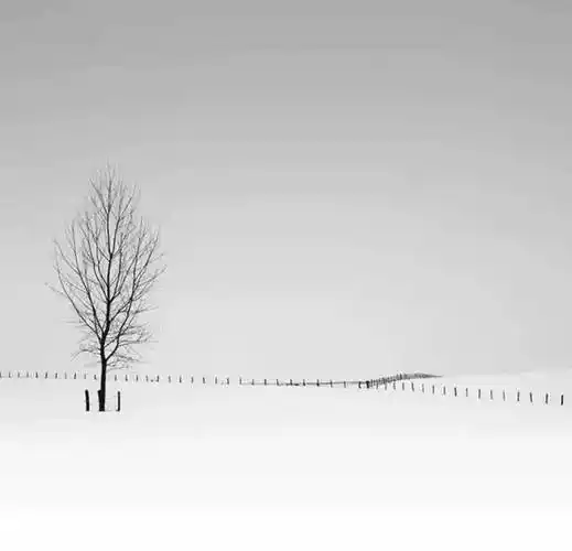 一,黑白摄影的情感区域