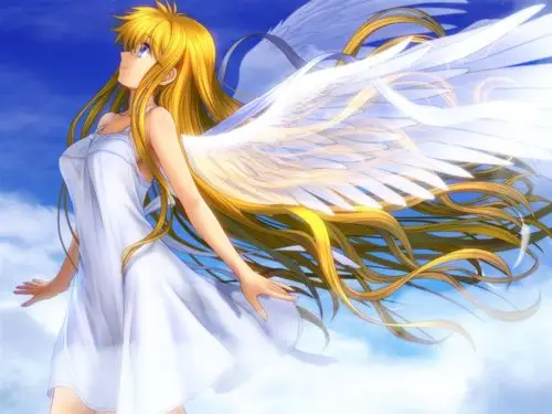 美丽的动漫女孩天使的翅膀白色羽毛 壁纸