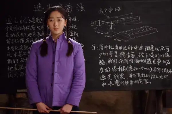 36集电视连续剧《最美的青春》资料汇总_河北新闻网手机版