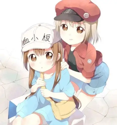 工作细胞_血小板 红细胞