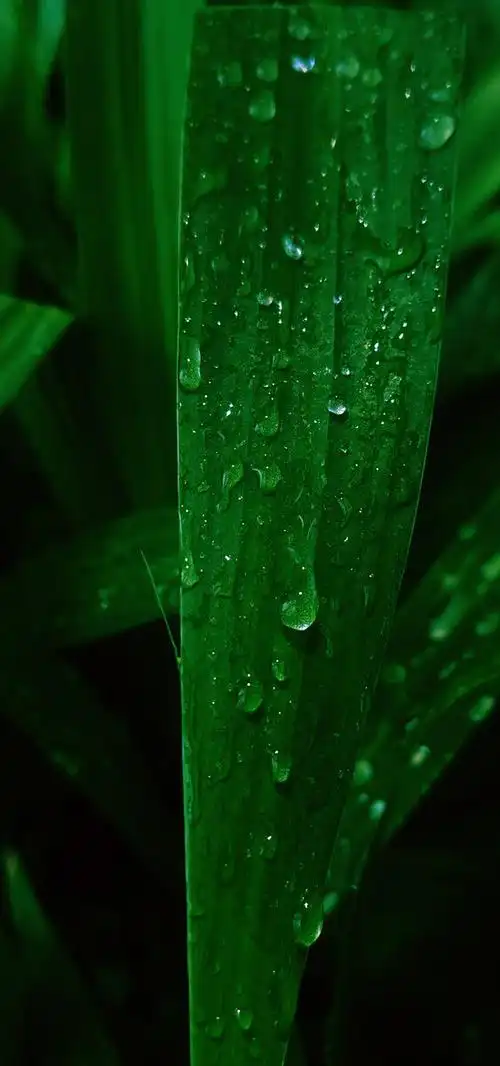 2021年7月9日拉黑胡李糊图2021年5月22日拉黑yaniini2021年5月23日拉